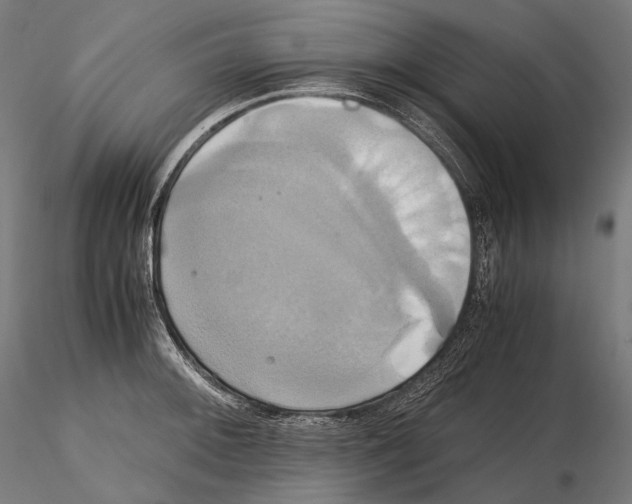 X0000114701092200912021103