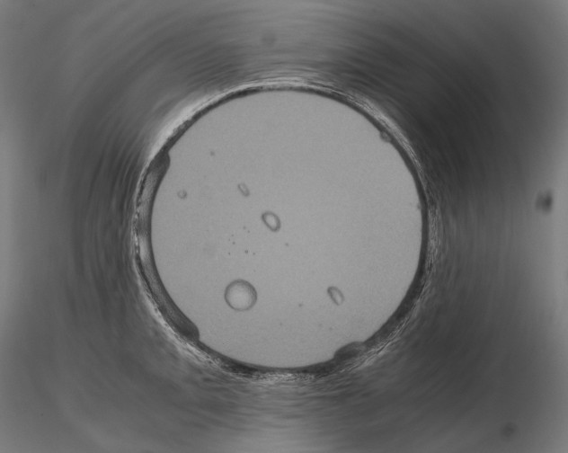 X0000114701093200912021103