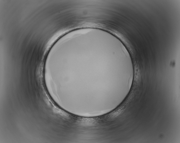 X0000114701094200912021103