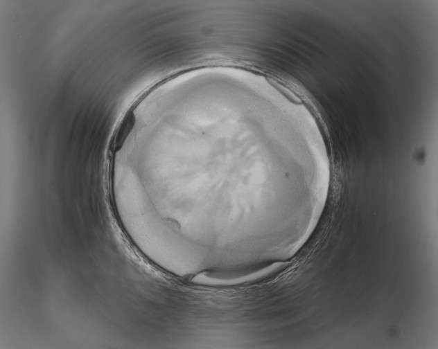 X0000114701096200912021103