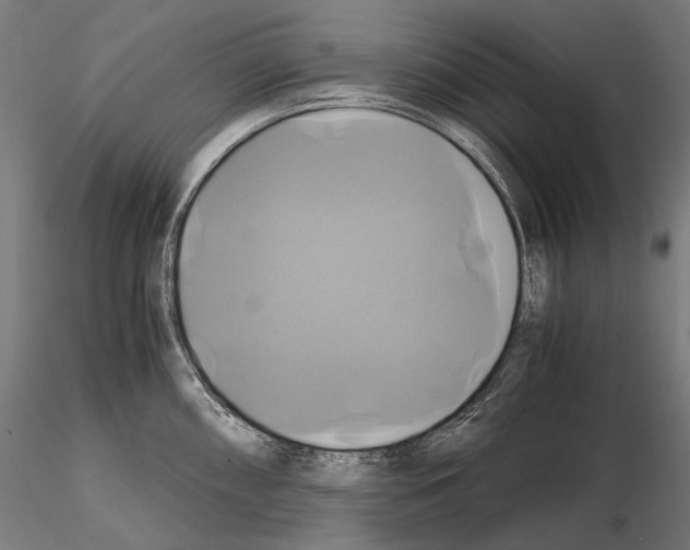 X0000114701098200912021102