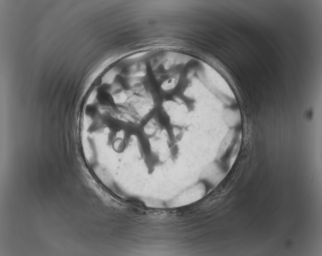 X0000114701099200912021102