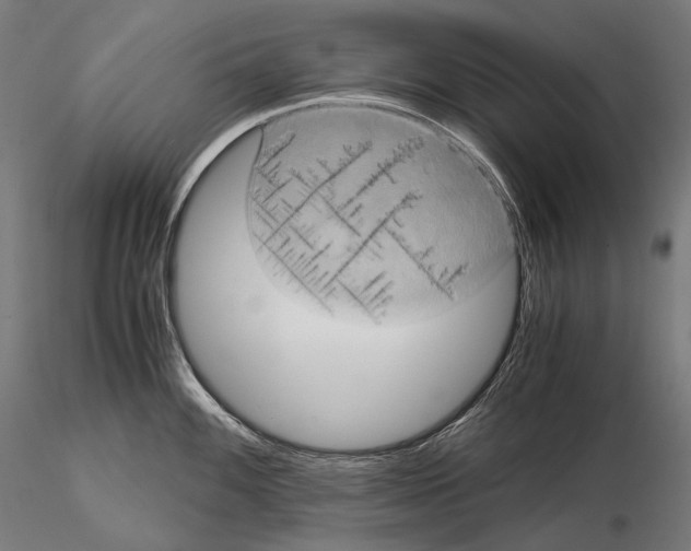 X0000114701100200912021102