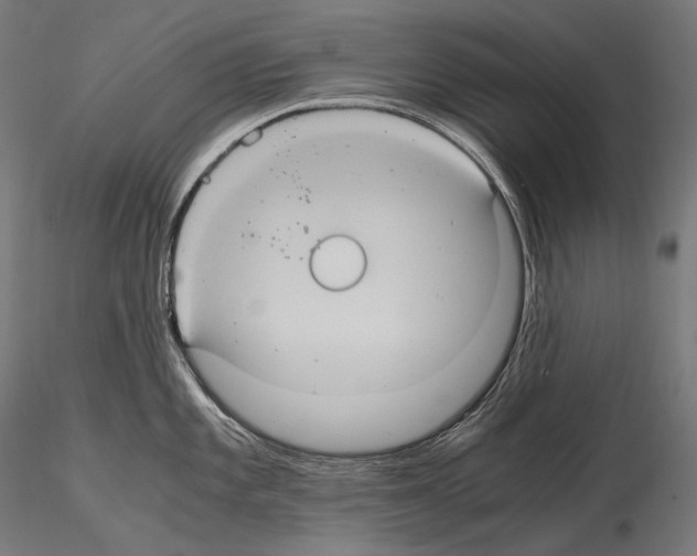 X0000114701101200912021102