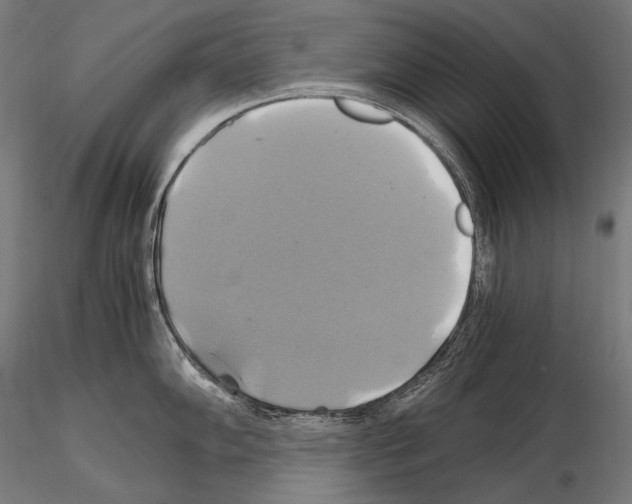 X0000114701102200912021102