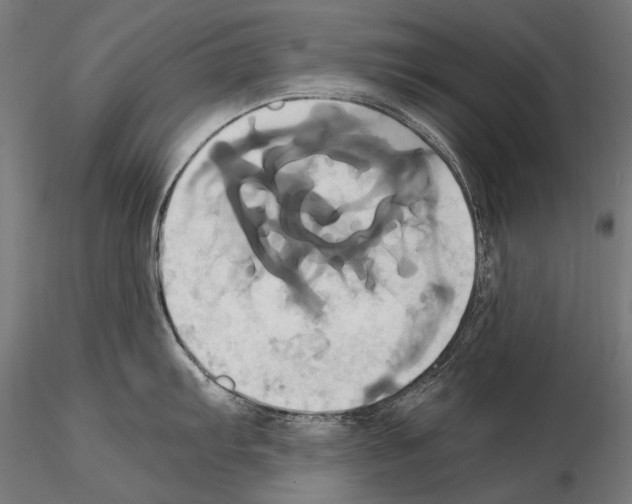 X0000114701103200912021102