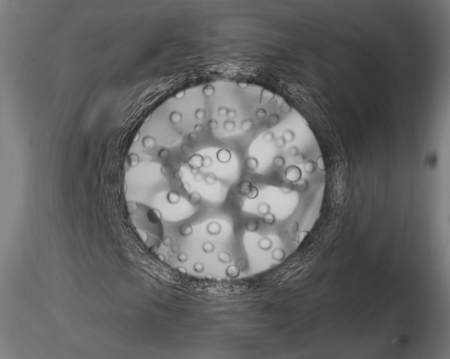 X0000114701105200912021102