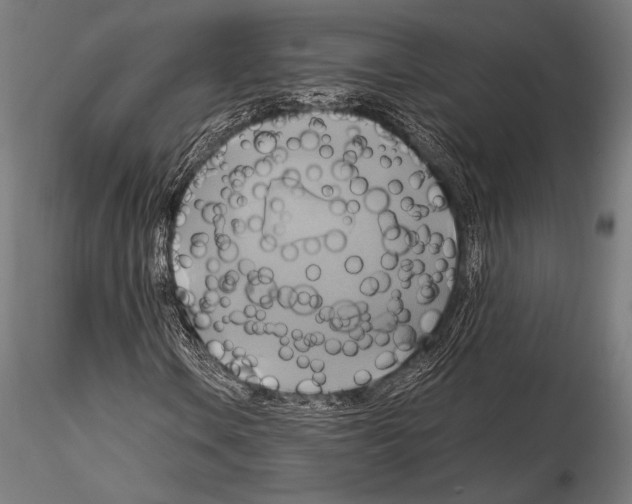 X0000114701106200912021102