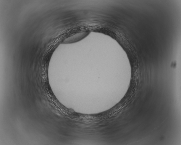 X0000114701109200912021102