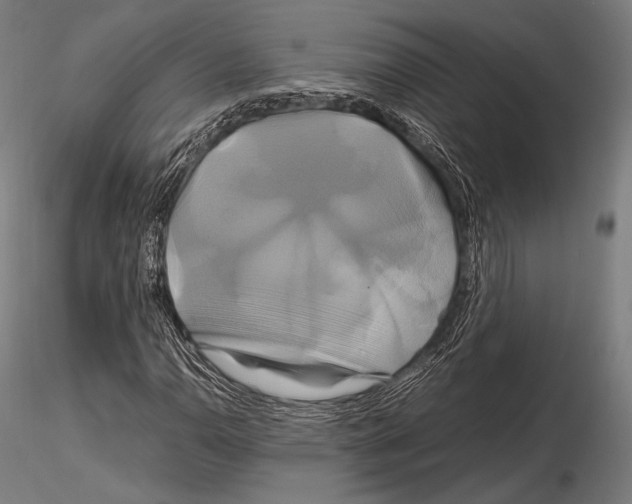 X0000114701110200912021102