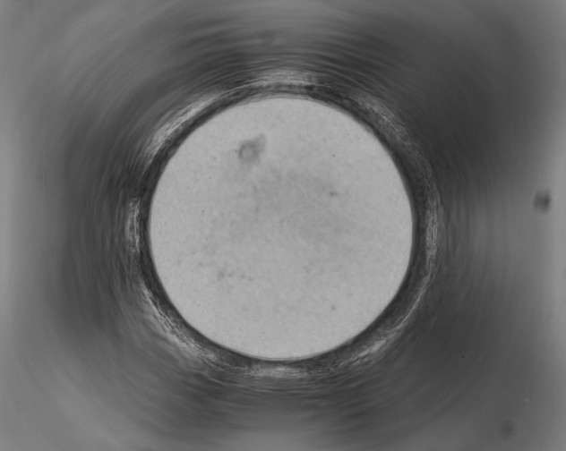 X0000114701113200912021102