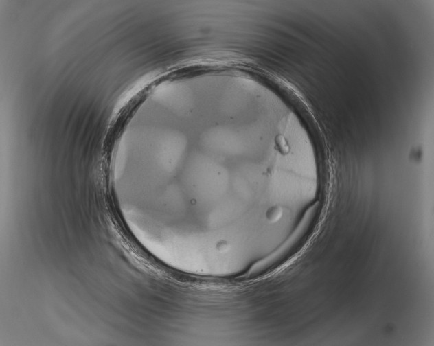 X0000114701114200912021102