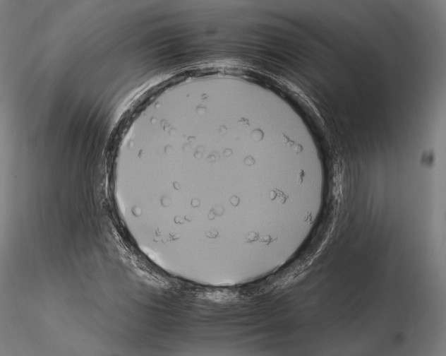 X0000114701117200912021102