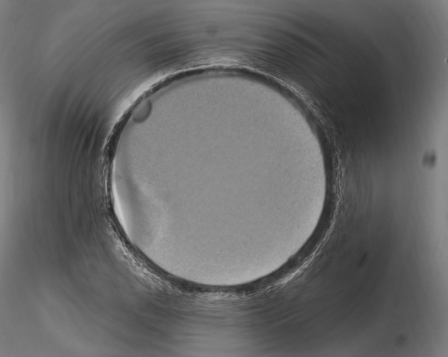 X0000114701118200912021102