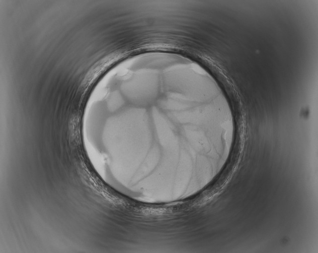 X0000114701121200912021102