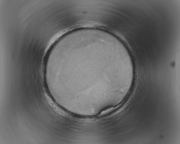 X0000114701122200912021102