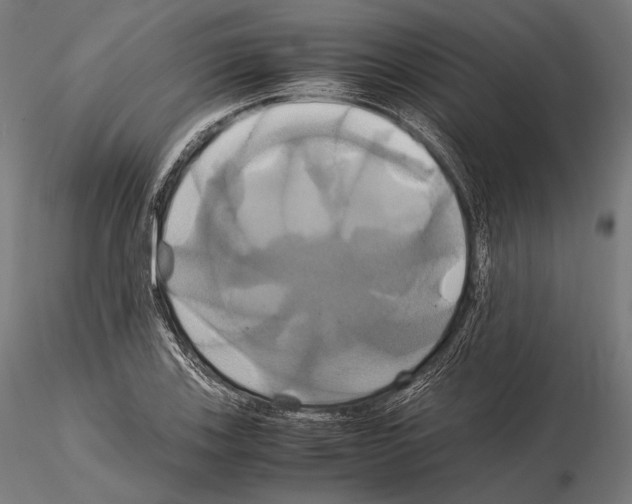 X0000114701123200912021102