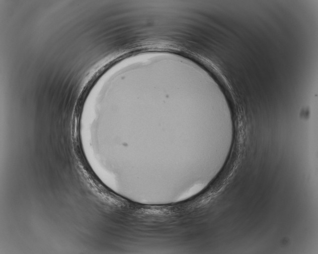 X0000114701125200912021102