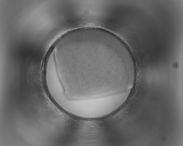 X0000114701126200912021102