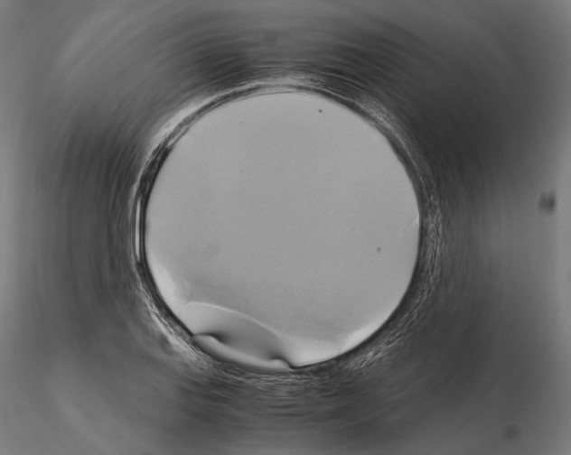 X0000114701127200912021102