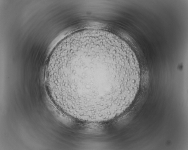 X0000114701130200912021102