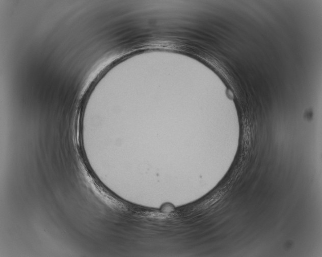 X0000114701131200912021102