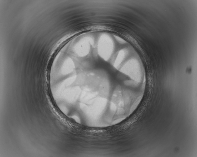 X0000114701133200912021102