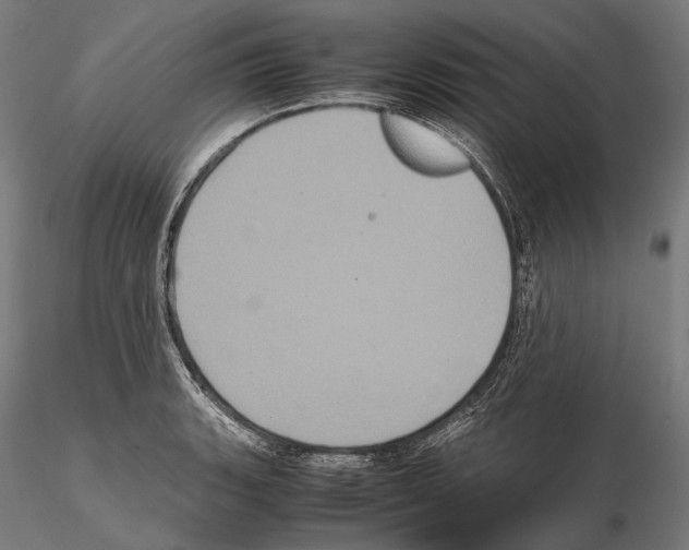 X0000114701135200912021102