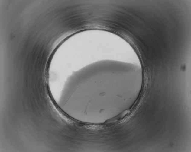 X0000114701141200912021102