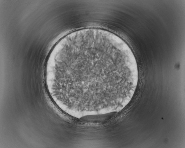 X0000114701142200912021102