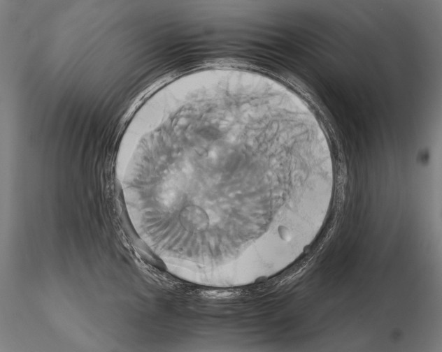 X0000114701145200912021102