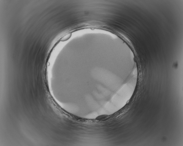 X0000114701146200912021102