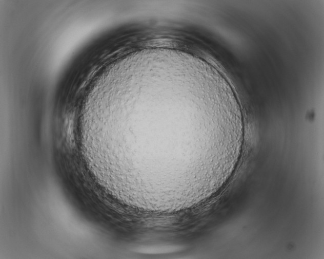 X0000114701150200912021102