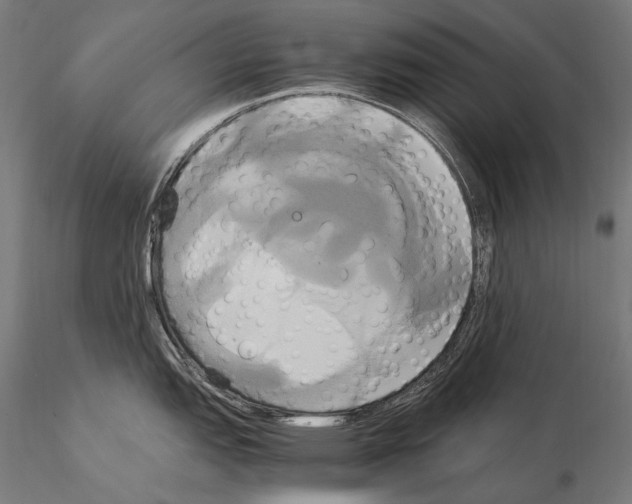 X0000114701151200912021102