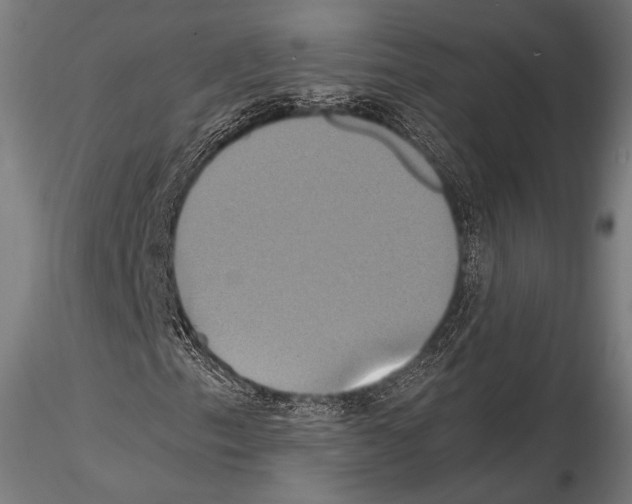 X0000114701153200912021102