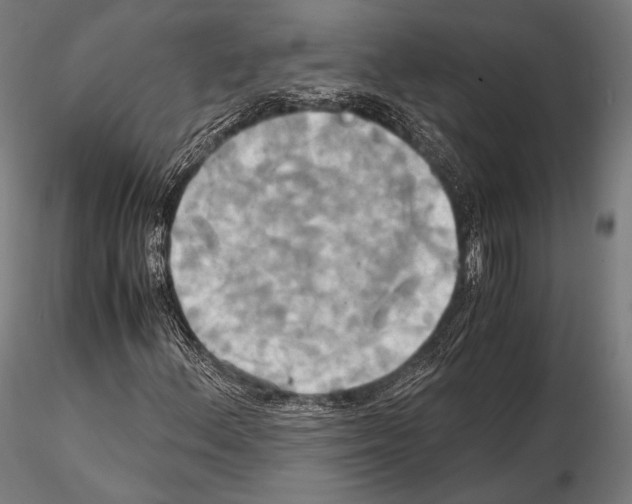 X0000114701156200912021102