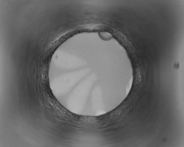 X0000114701158200912021102