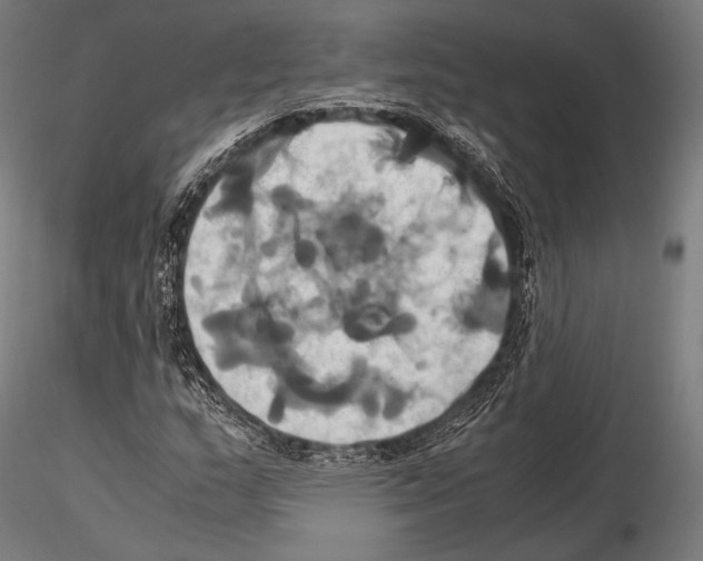 X0000114701159200912021102