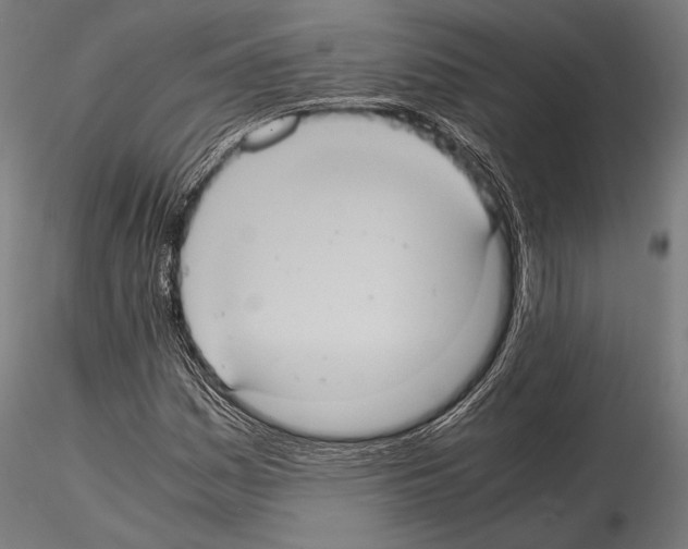 X0000114701161200912021102