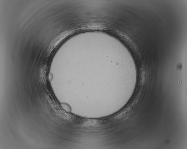 X0000114701162200912021102