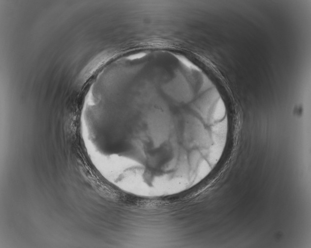 X0000114701163200912021102