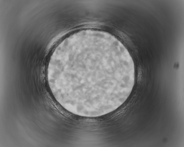 X0000114701164200912021102