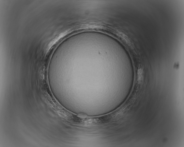 X0000114701165200912021102