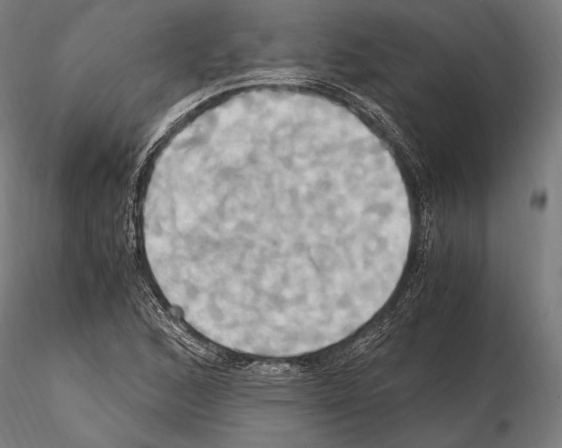 X0000114701168200912021102