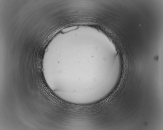 X0000114701169200912021102