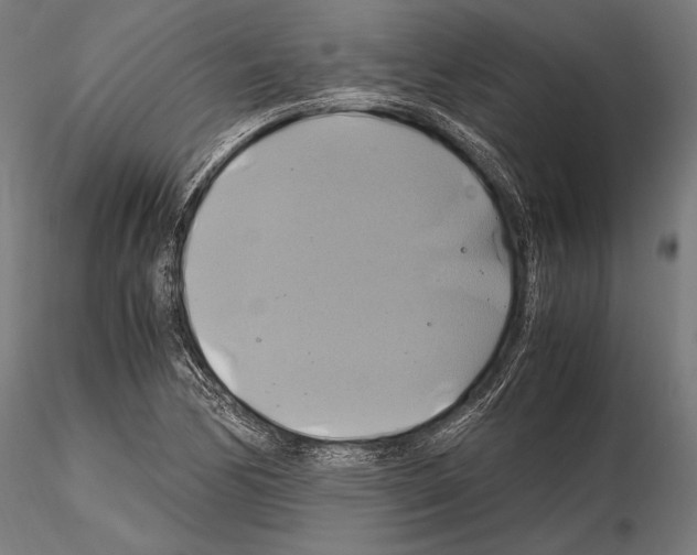 X0000114701170200912021101