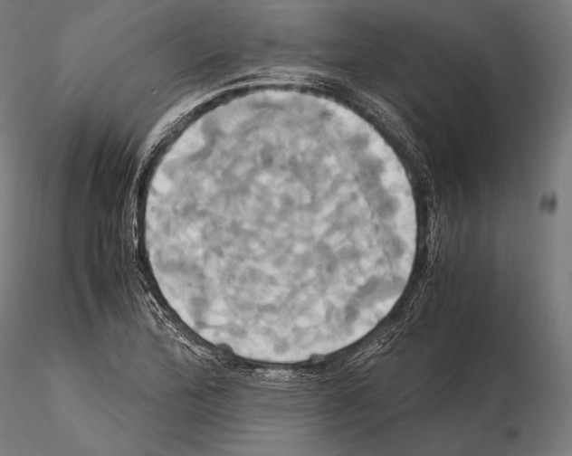 X0000114701172200912021101