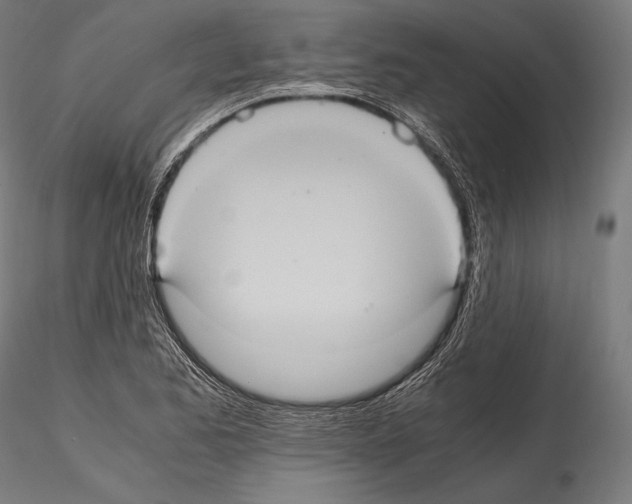 X0000114701173200912021101