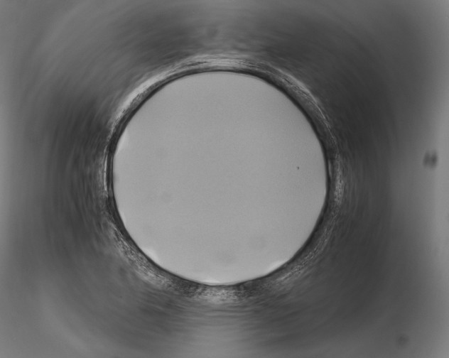 X0000114701174200912021101