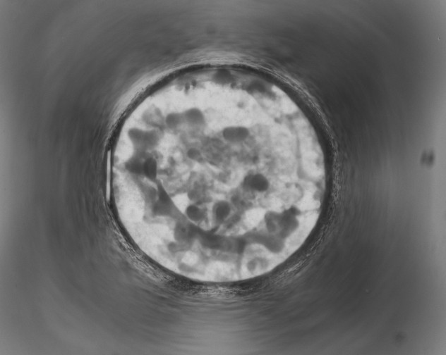 X0000114701175200912021101